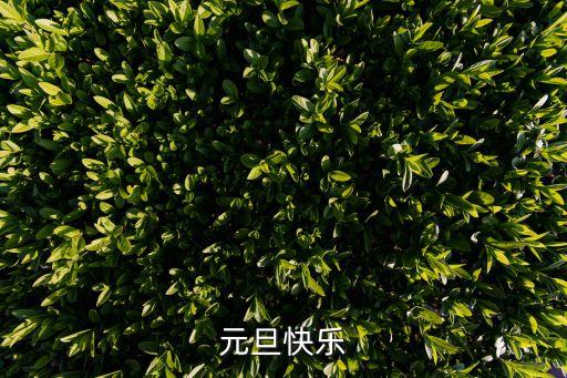 元旦節快樂，元旦快樂