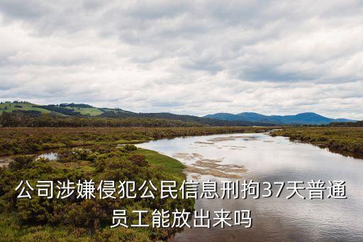 公司涉嫌侵犯公民信息刑拘37天普通員工能放出來嗎