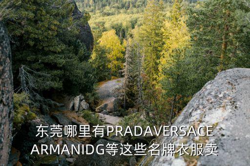 東莞哪里有PRADAVERSACEARMANIDG等這些名牌衣服賣