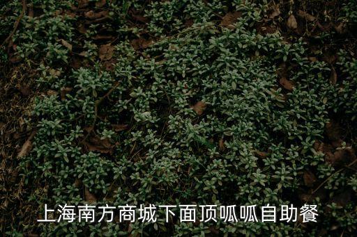上海市南方商城頂呱呱，上海南方商廈的頂呱呱晚上自助餐多少錢
