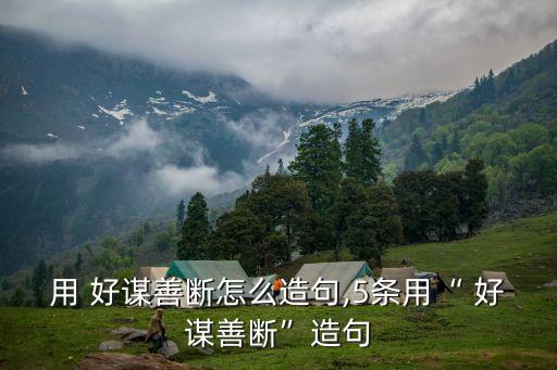 用 好謀善斷怎么造句,5條用“ 好謀善斷”造句