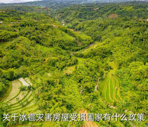 關于冰雹災害房屋受損國家有什么政策