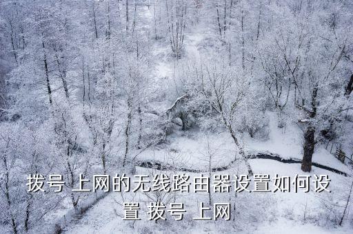  撥號 上網(wǎng)的無線路由器設(shè)置如何設(shè)置 撥號 上網(wǎng)