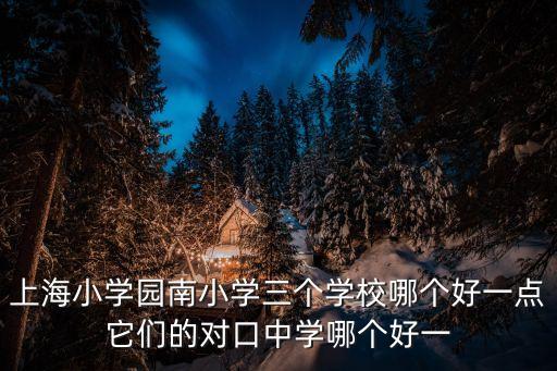 上海市一師附小對口中學，上海小學園南小學三個學校哪個好一點它們的對口中學哪個好一