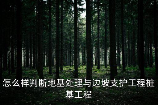 怎么樣判斷地基處理與邊坡支護工程樁基工程