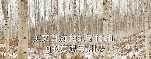 英文白癡 feel與 feeling的意思與 用法