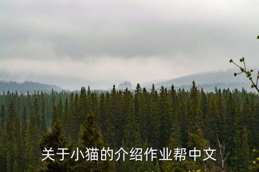 貓的介紹，貓是一種怎樣的動物