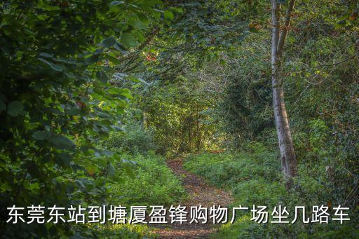 東莞盈鋒商場，塘廈鎮(zhèn)盈峰購物廣物即塘廈鎮(zhèn)沃爾瑪是哪省的