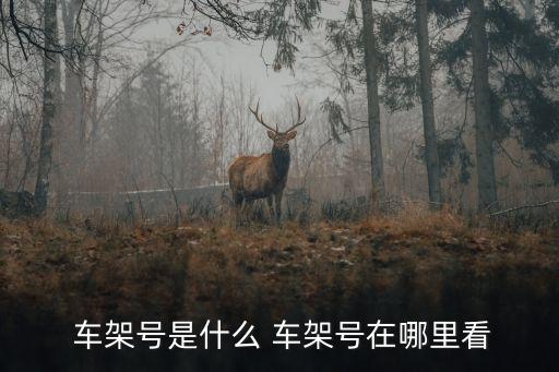汽車車架號在哪里