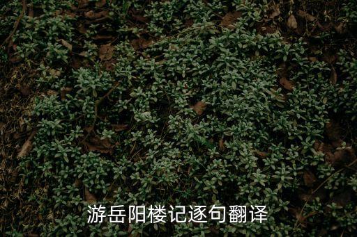 游岳陽樓記，游岳陽樓記逐句翻譯