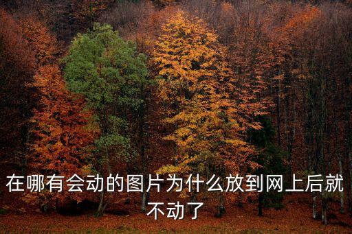 動圖大全,這些搞笑卡通圖片有助你了解卡通視覺表達
