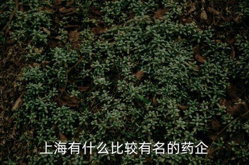 上海有什么比較有名的藥企