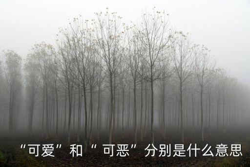 “可愛”和“ 可惡”分別是什么意思