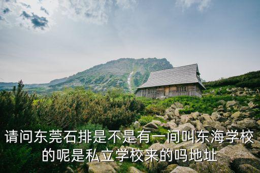 請問東莞石排是不是有一間叫東海學校的呢是私立學校來的嗎地址