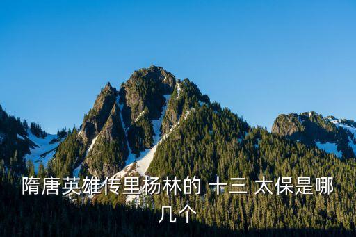 隋唐英雄傳里楊林的 十三 太保是哪幾個