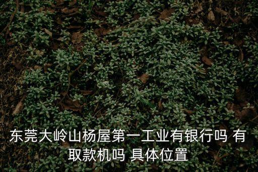東莞熔噴布機現場指導，東莞大嶺山楊屋第一工業有銀行嗎 有取款機嗎 具體位置