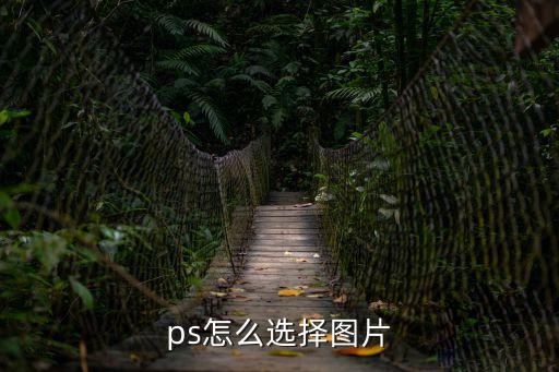 ps怎么選擇圖片