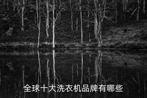 十大洗衣機品牌排行榜，十大品牌洗衣機排名 有哪些