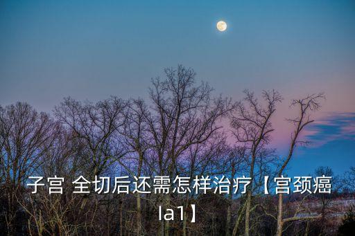  子宮 全切后還需怎樣治療【宮頸癌Ia1】