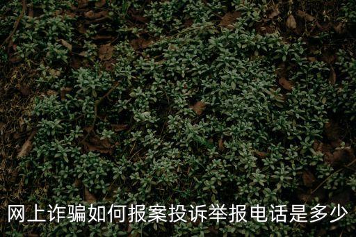 網上舉報怎么舉報，12315網上投訴應該怎樣投訴