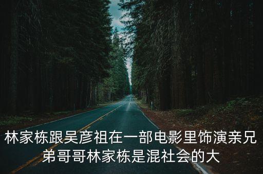 林家棟跟吳彥祖在一部電影里飾演親兄弟哥哥林家棟是混社會的大