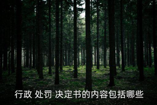行政處罰決定書,調查取證基礎上記錄當事人違法事實和理由