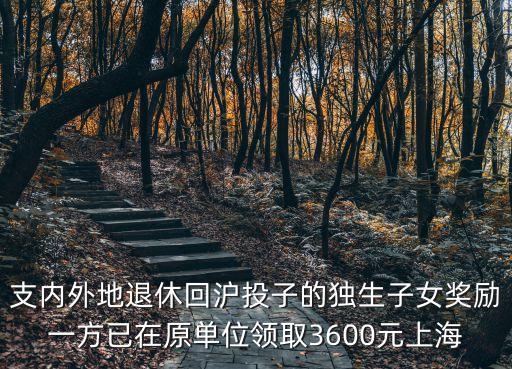 支內(nèi)外地退休回滬投子的獨生子女獎勵一方已在原單位領(lǐng)取3600元上海