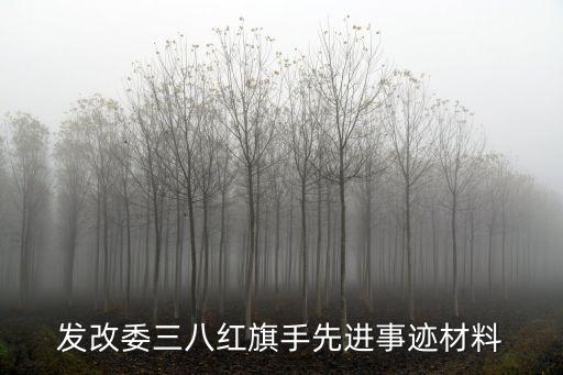 上海市三八紅旗集體表彰，有誰知道今年三八獲得全國三八紅旗集體稱號的是哪個單位嗎