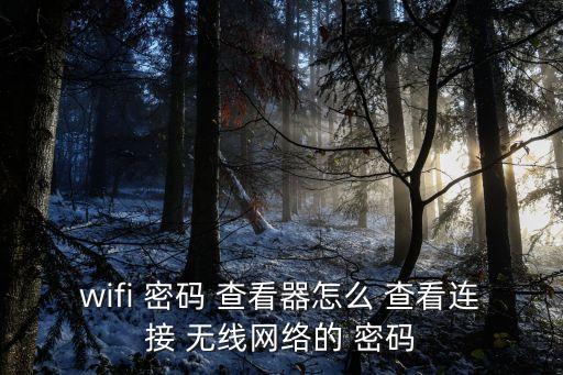 wifi 密碼 查看器怎么 查看連接 無線網絡的 密碼