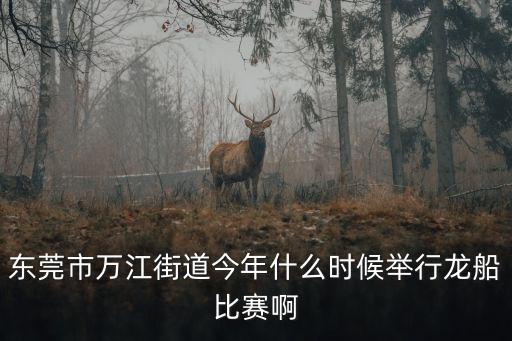 東莞市萬江街道今年什么時候舉行龍船比賽啊