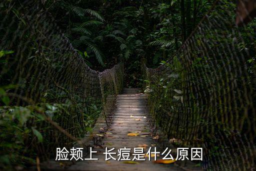  臉頰上 長痘是什么原因