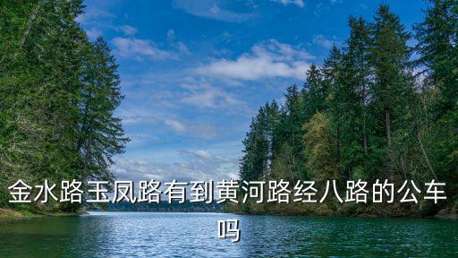 上海市黃河路金八，金水路玉鳳路有到黃河路經八路的公車嗎