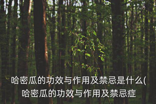  哈密瓜的功效與作用及禁忌是什么( 哈密瓜的功效與作用及禁忌癥