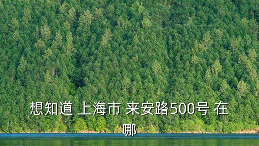 上海市浦東新區(qū)來安路500號，上海浦東平安路500號是什么地方