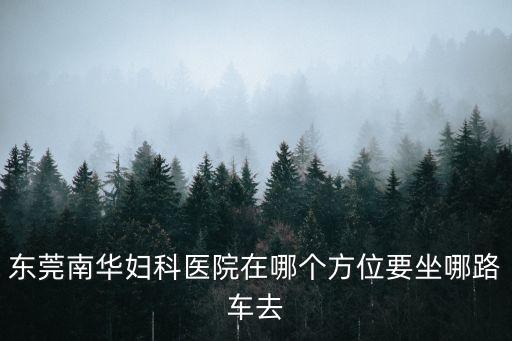 東莞南華婦科醫(yī)院在哪個方位要坐哪路車去