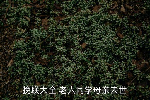 挽聯大全 老人同學母親去世