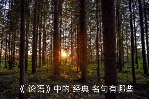 論語經典名句,新加坡網民評選四句話