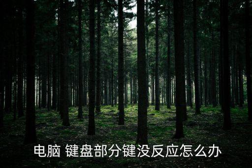臺式電腦鍵盤沒反應怎么辦,電腦壞了怎么辦?