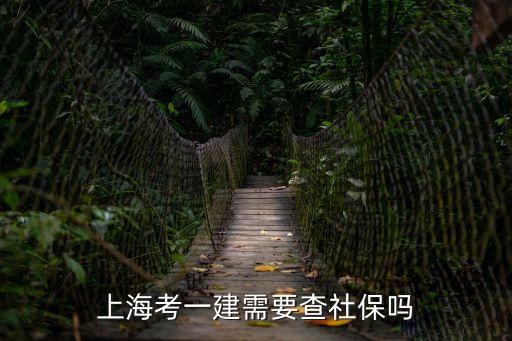 上海考一建需要查社保嗎