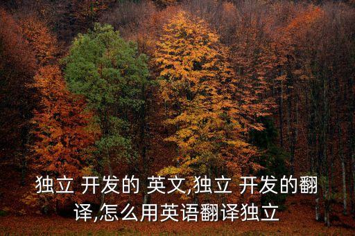 獨立 開發(fā)的 英文,獨立 開發(fā)的翻譯,怎么用英語翻譯獨立