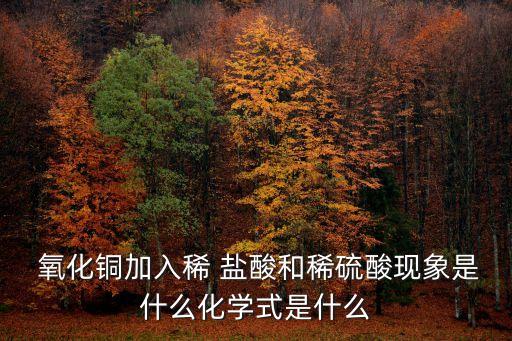  氧化銅加入稀 鹽酸和稀硫酸現象是什么化學式是什么