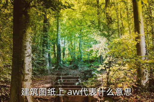 建筑圖紙上 aw代表什么意思