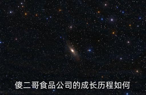 傻二哥食品公司的成長歷程如何