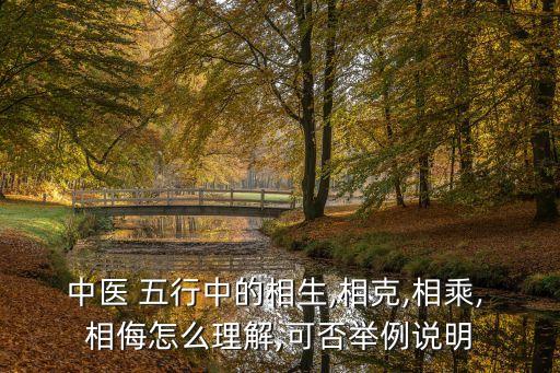 五行相侮,五行與相侮的關系