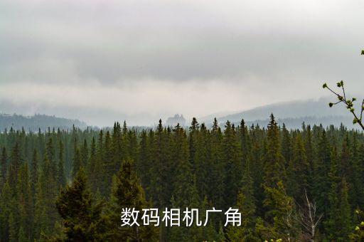 廣角相機(jī)，數(shù)碼相機(jī)廣角