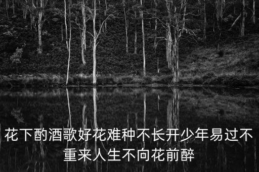 花下酌酒歌好花難種不長開少年易過不重來人生不向花前醉