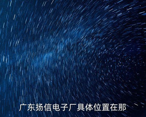 廣東揚信電子廠具體位置在那