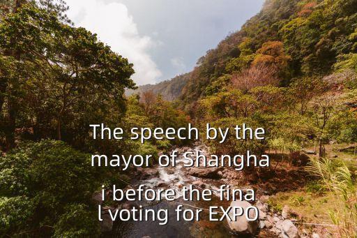 上海市市長妻子借種，The speech by the mayor of Shanghai before the final voting for EXPO