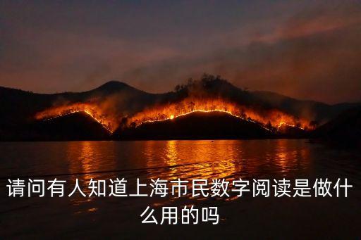 請問有人知道上海市民數字閱讀是做什么用的嗎