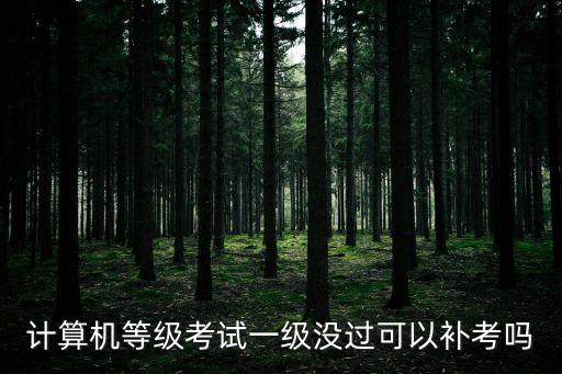 計算機等級考試一級沒過可以補考嗎